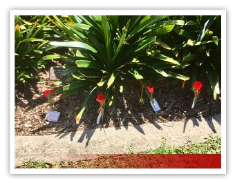 photo22015