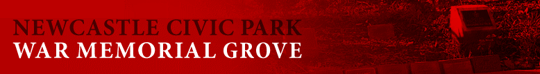 redbanner